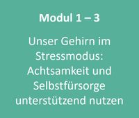 Modul1