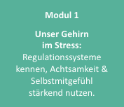 MCP_Modul_1